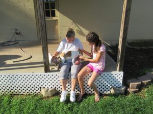 Little girl and woman play with dogs at Smith Farms Kennel, the best kennel in Metro Atlanta