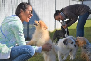 Small dog jumps excitedly on woman at Smith Farms Kennel