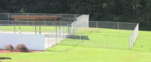 Smith Farms Kennel backyard fenced green area for dogs to play