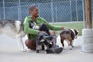 Three dogs playing at Smith Farms Kennels, the best for doggy daycare and long-term boarding in Metro Atlanta