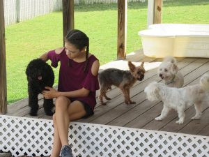 Four dogs on the porch at Smith Farms Kennel - serving Conyers Covington Loganville and other towns