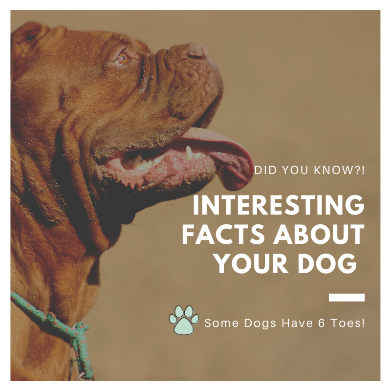 Did You Know?