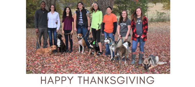 We are grateful to all of you! We are grateful to all of you!
