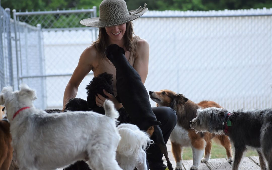 Atlanta Doggy Daycare at Smith Farms!