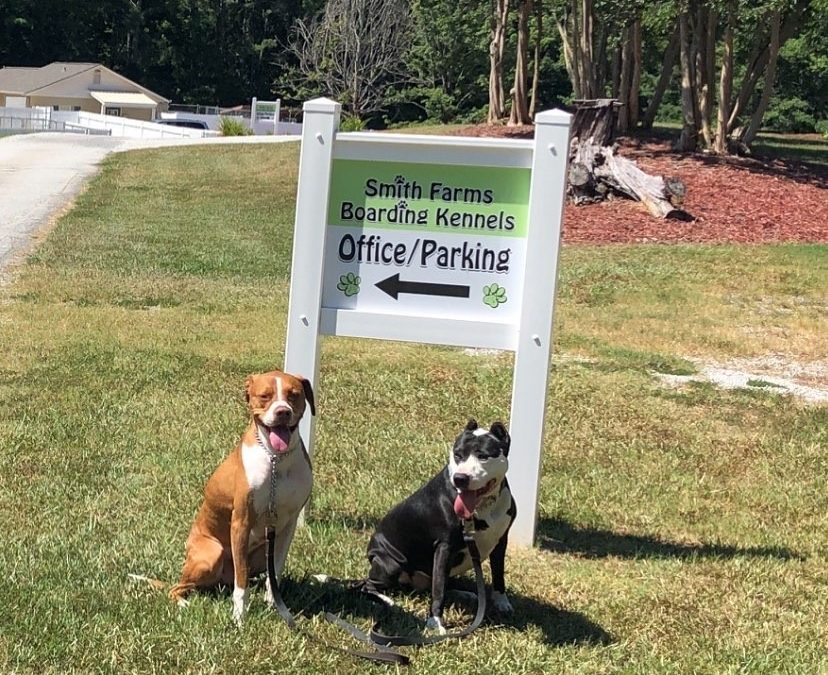 Dog Training in Covington, Georgia