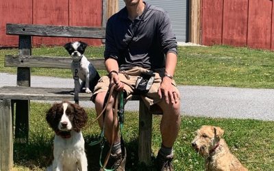 Best Holiday Kennel Reservation Located at Smith Farms Boarding