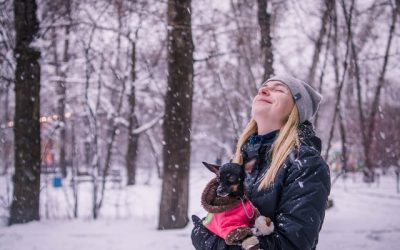 Avoiding Winter Dangers for Dogs