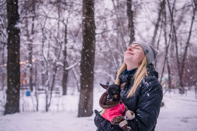 Avoiding Winter Dangers for Dogs