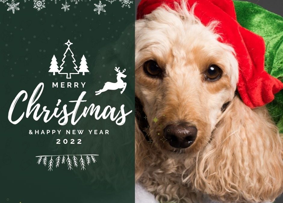 Smith Farms Atlanta Dog Boarding Christmas and Holiday Card