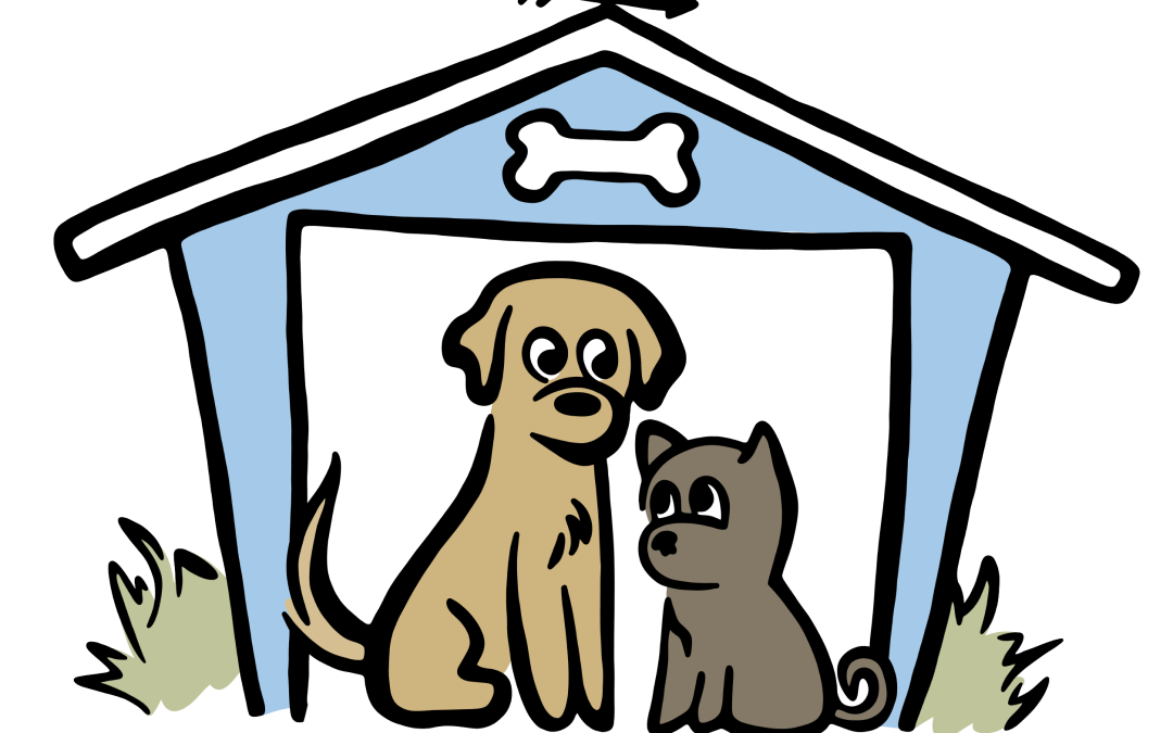 Choosing the Best Pet Boarding Kennel Near Conyers, GA