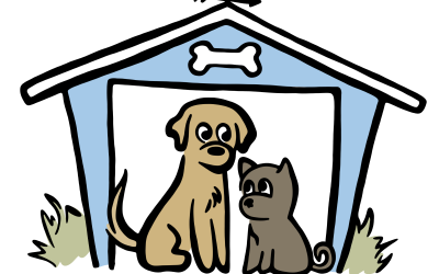 Choosing the Best Pet Boarding Kennel Near Conyers, GA